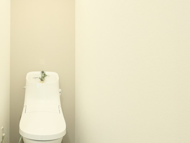 PXT00005610780701.jpg